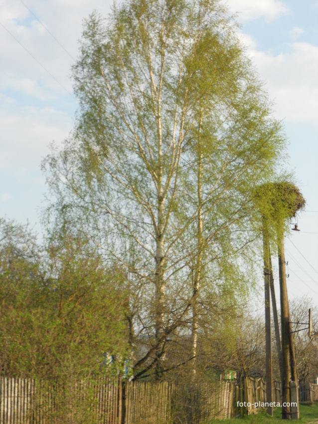 Часть деревни