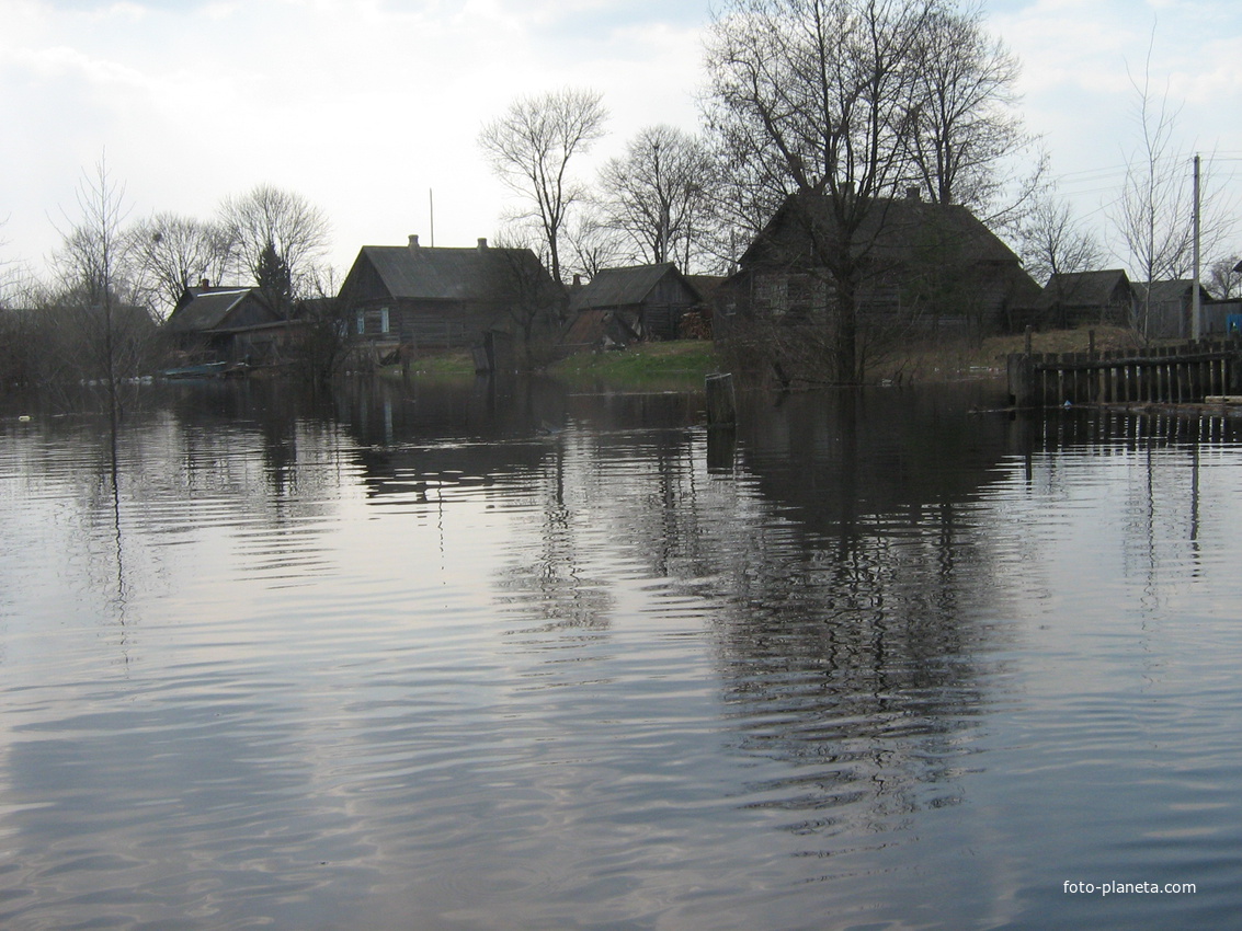 Разлив Сожа в Абакумах