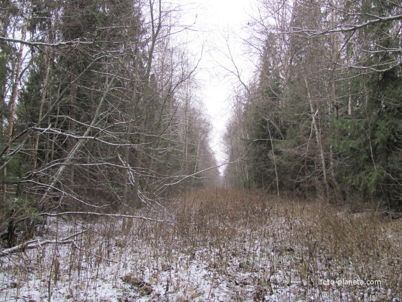 д.Исаево, осень 2011 г., давно не звенят бубенцы на почтовом тракте.