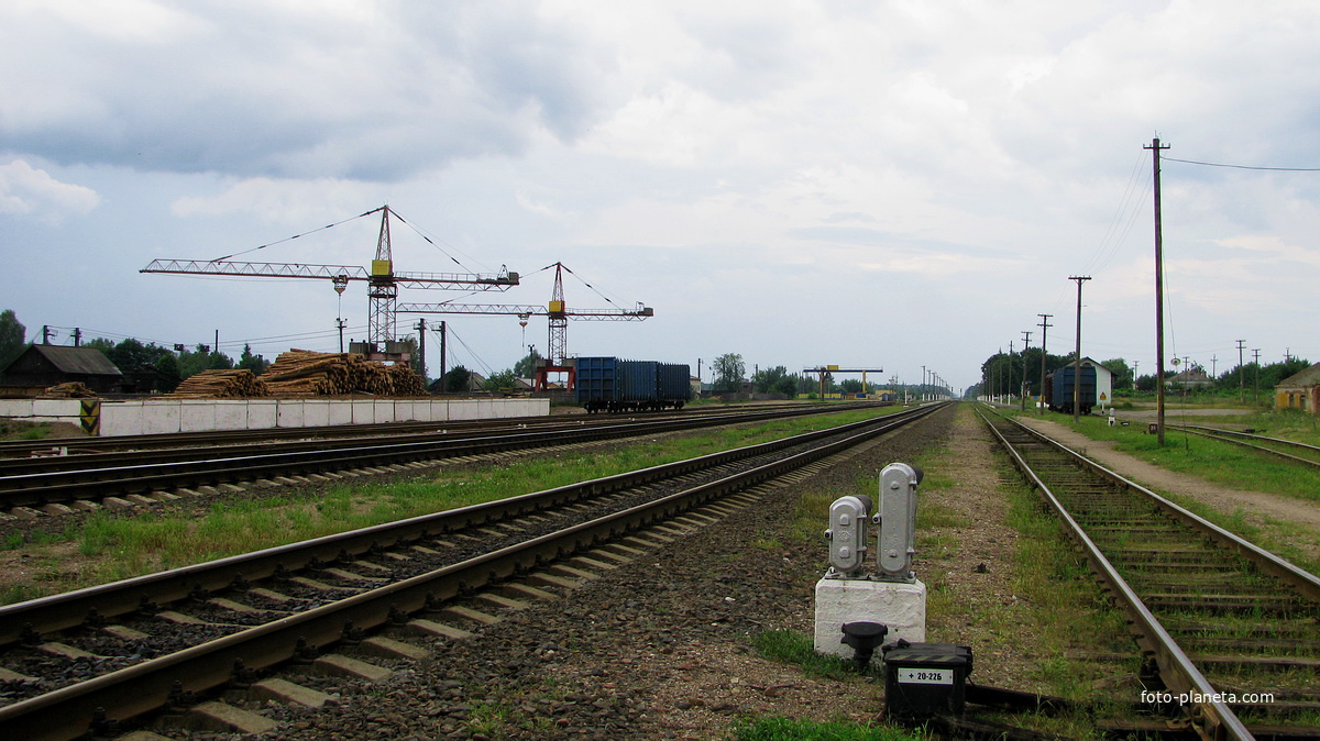 Станция Ельск, июль 2010г.