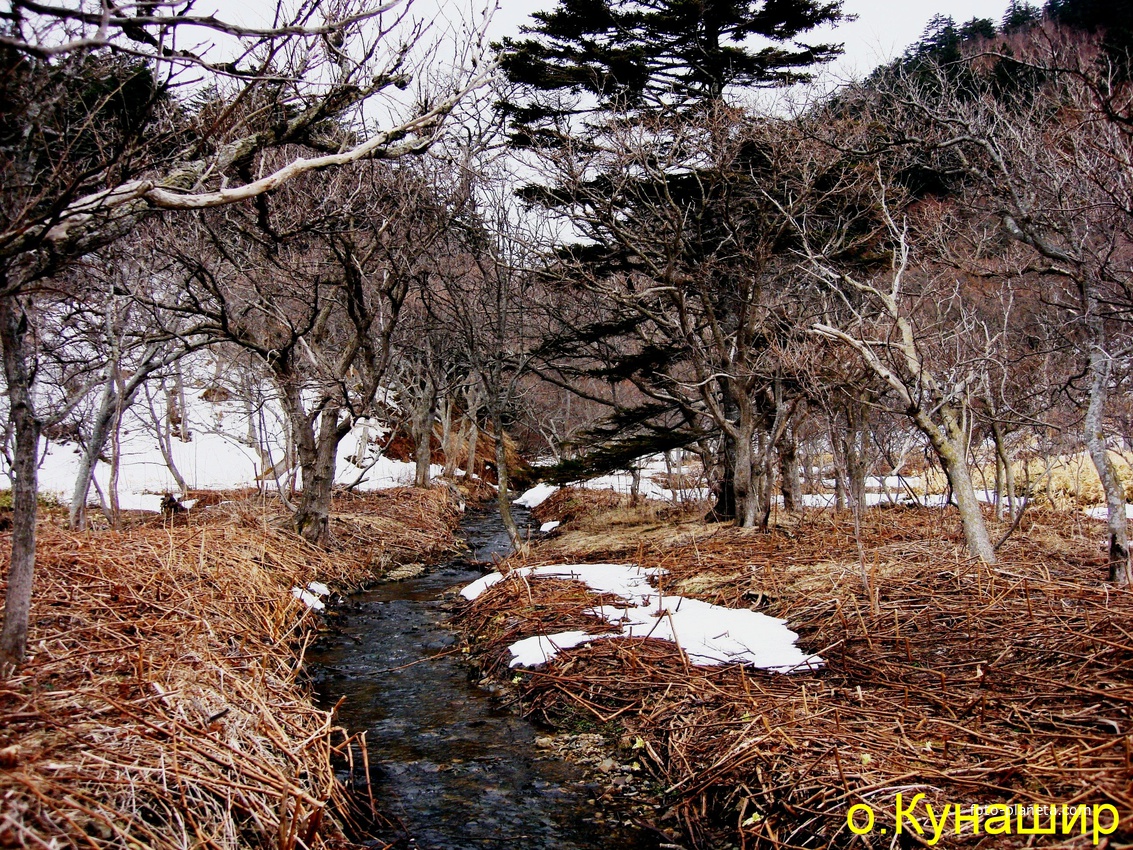 По тропе на мыс Столбчатый