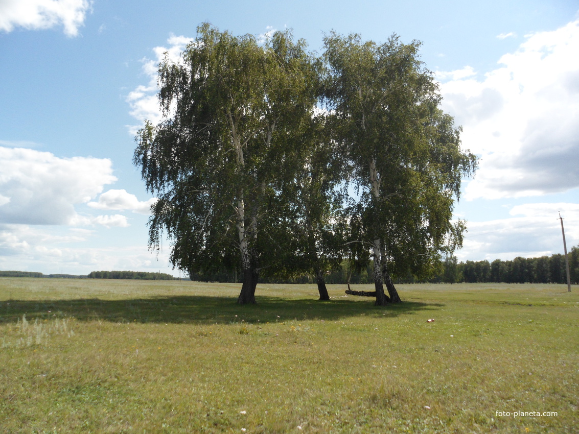 Путь Ленина