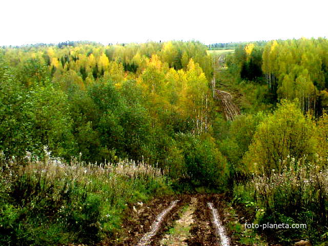 Дорога в Нос-сады