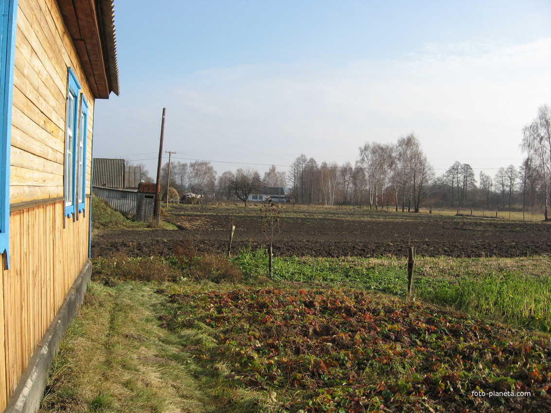 Урожай собран.