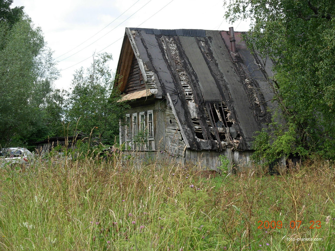 Это и есть настоящее Панютино