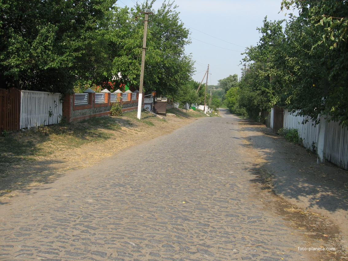улица Петровского