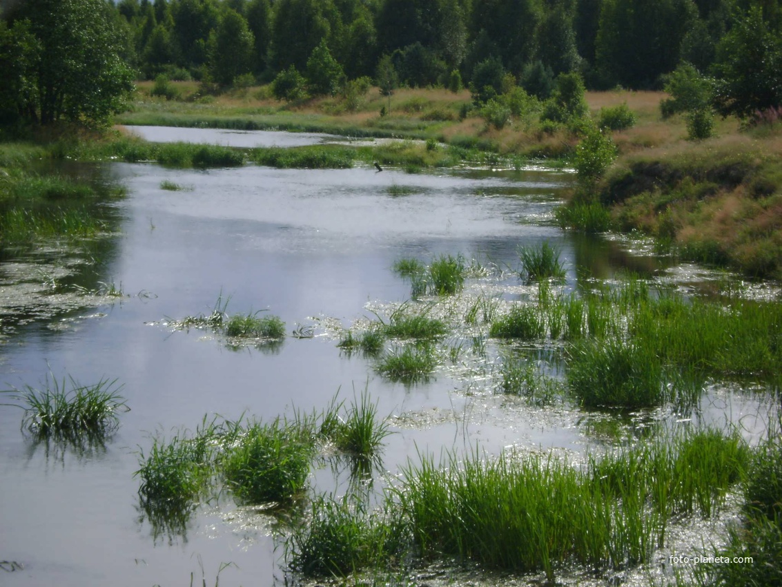 Река Черный Лух