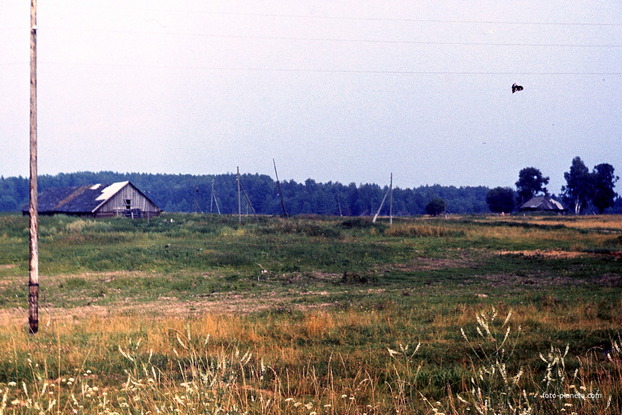Вид на Шилово со стороны Аннтонова. Слева остатки ферм. Вдали справа видны остатки деревни. лето 199