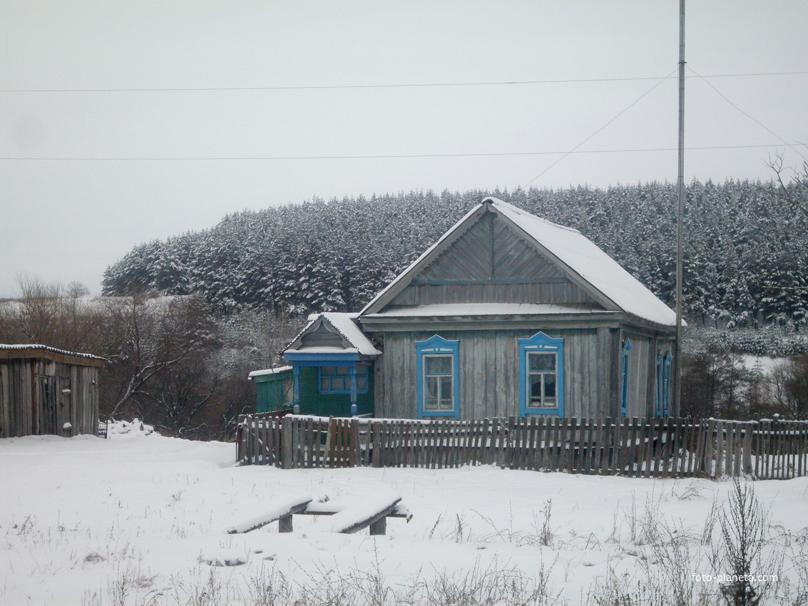 домик у леса