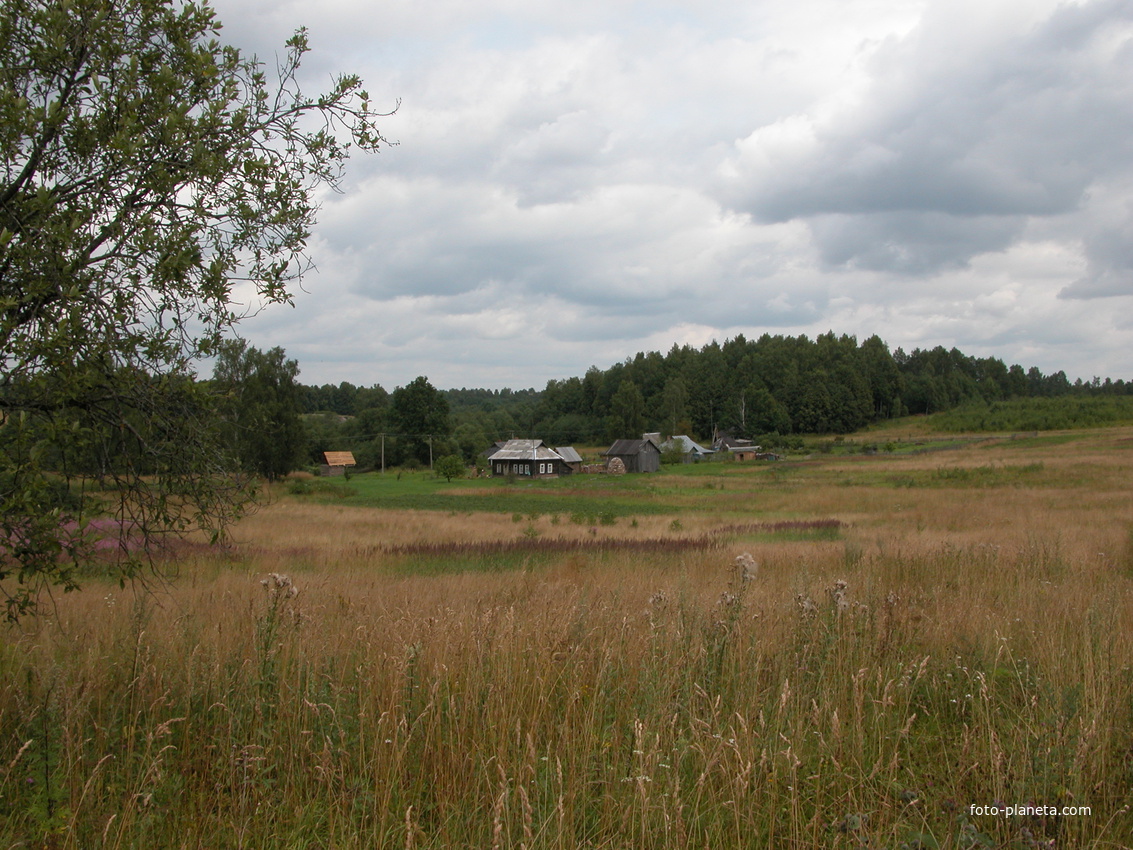 Андрианы. Городец