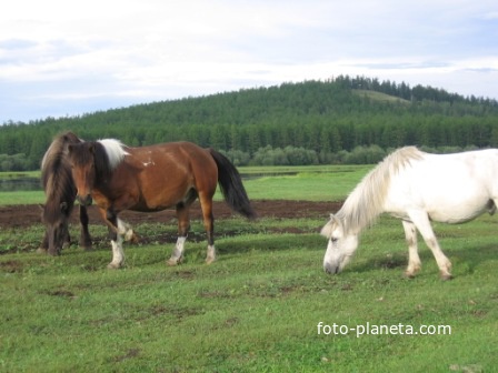 Сопка (от якутского Мыраан)