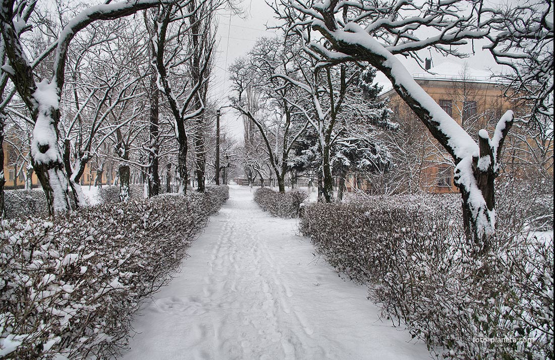 К музыкальной школе