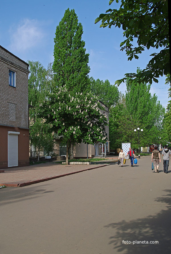 Калинина 40 8 мая