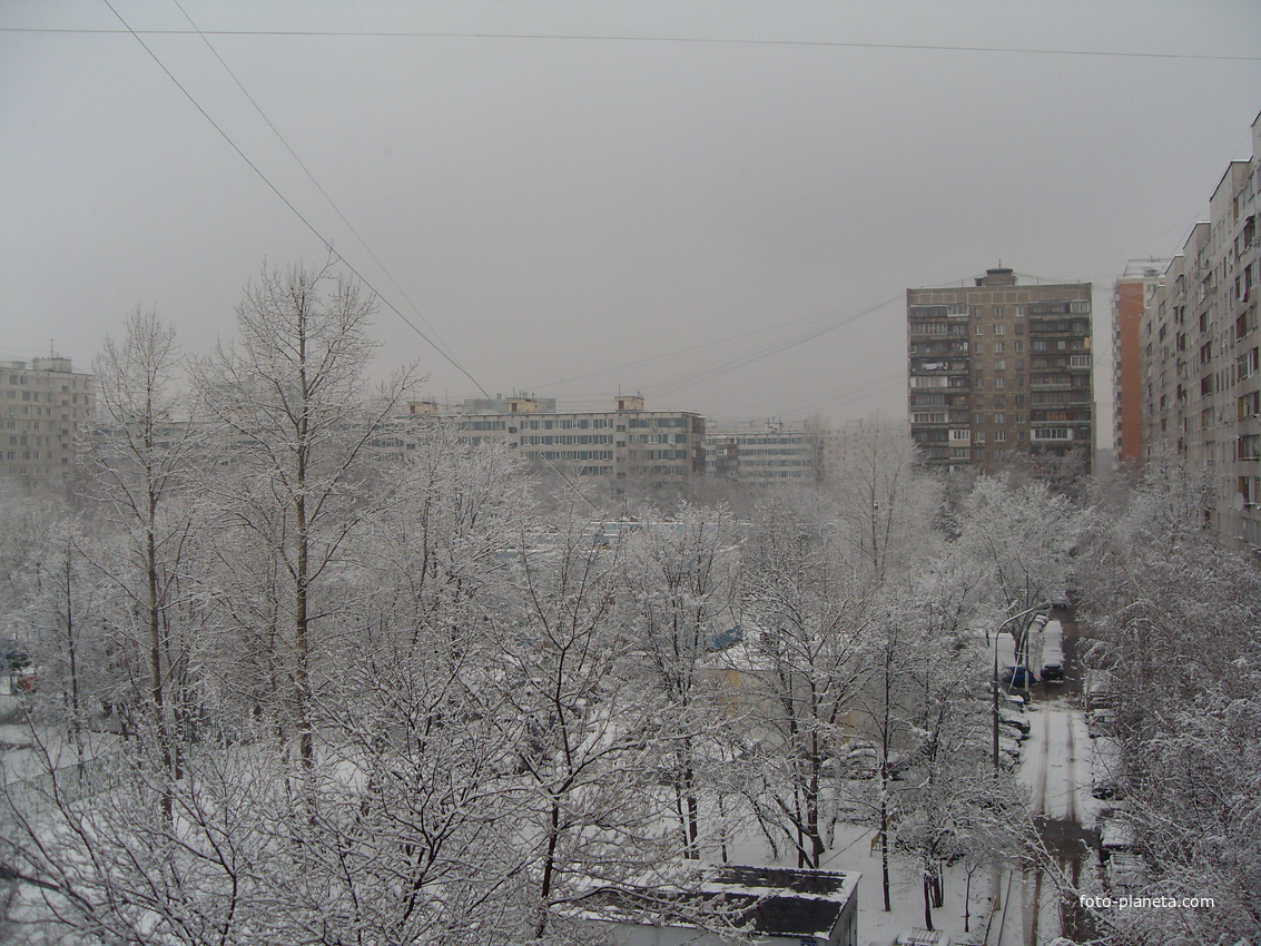 Зима. 01.01.2012