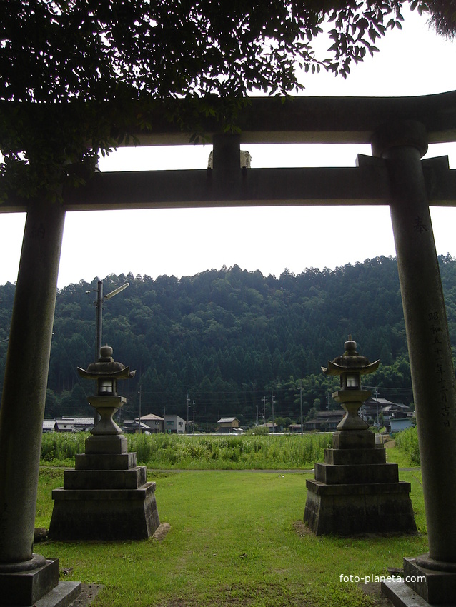 Синтоистские тории -Ворота в Святилище Фукуи префектура
