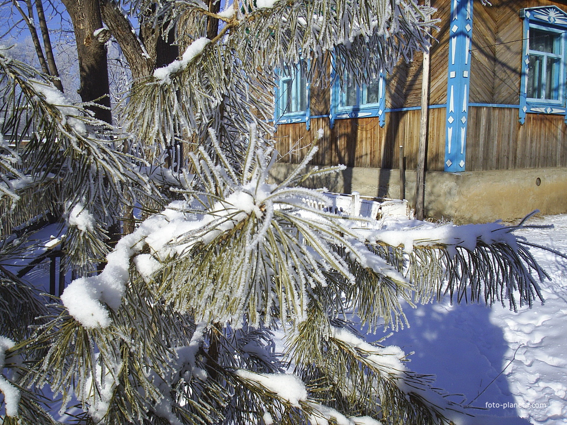 Амурская зима