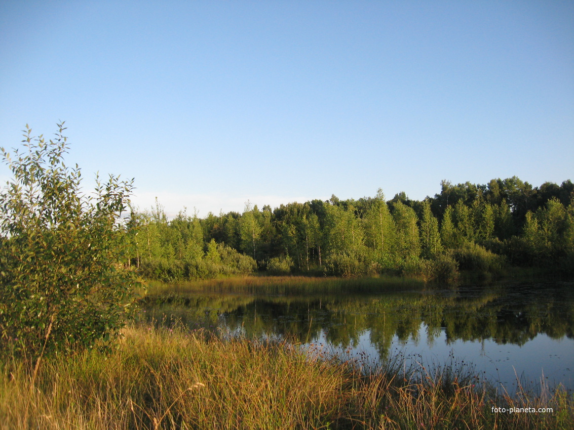 Малый Дивлин