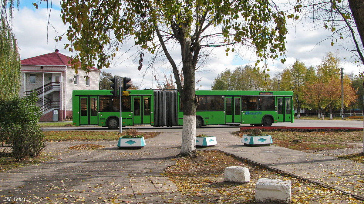 Пригородный автобус №201 Калинковичи - Мозырь, улица Свердлова