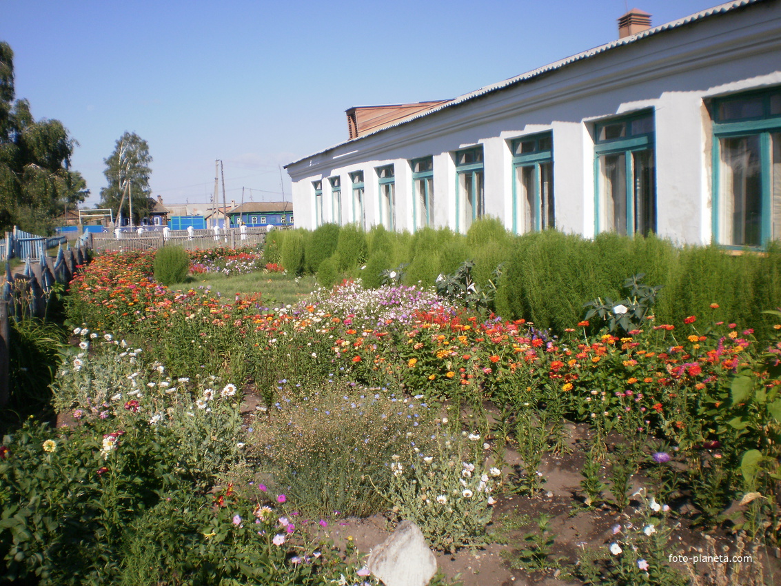 семено-петровская школа