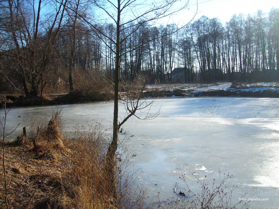 Река Белоус зимой