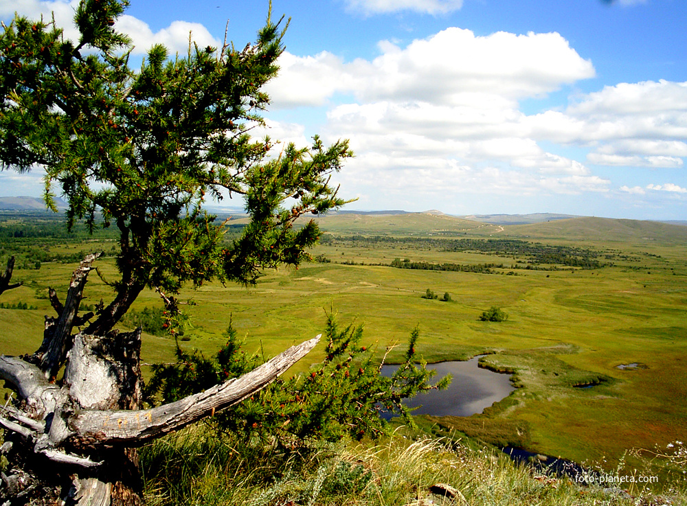 Вид на аал Усть-Фыркал с 7 Сундука агуст 2011 г.