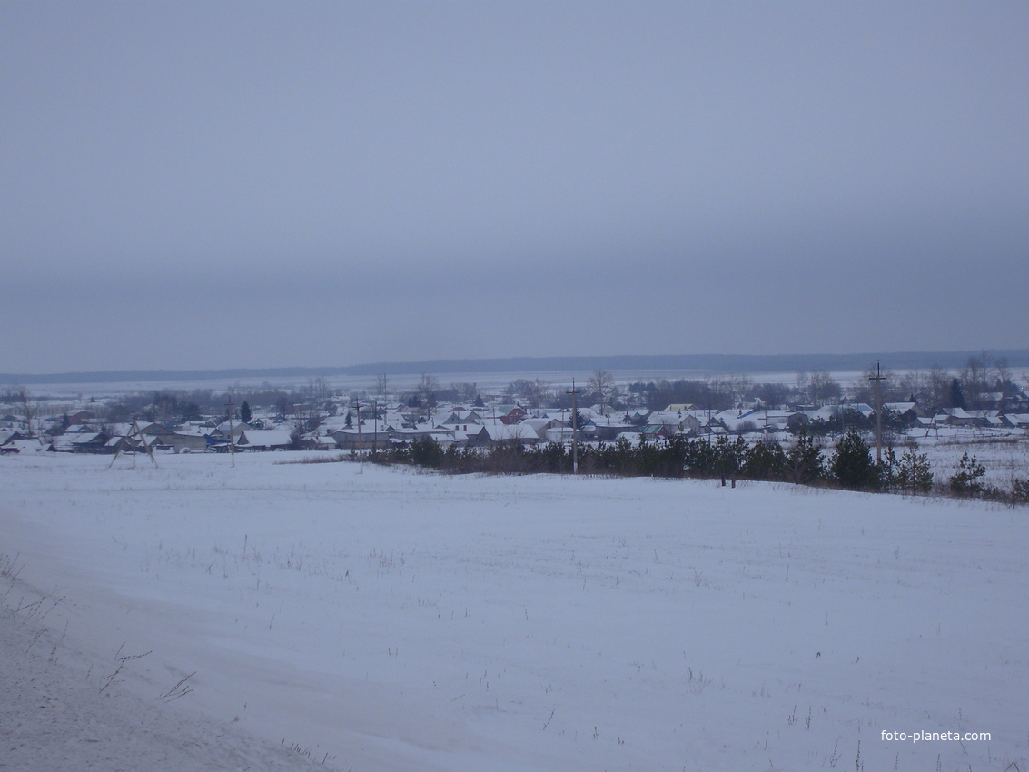 Вид на зимнее село с северной стороны