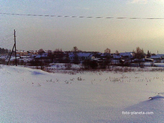 В д.Веселово зимой