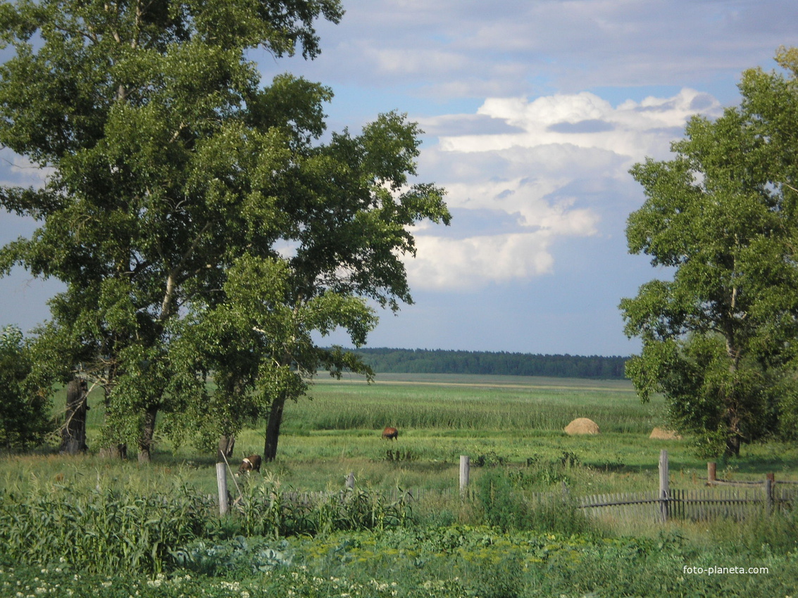 Погода в баево на 10. Село Паклино. Село Баево Алтайский край.