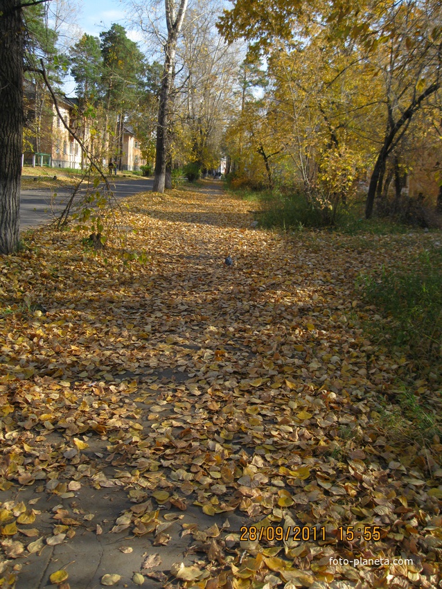 Осень на улице Октябрьской