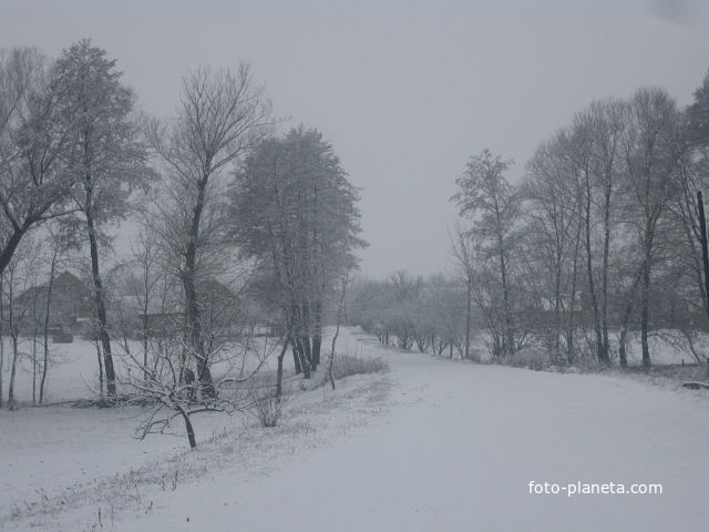 зима в Лапківцях