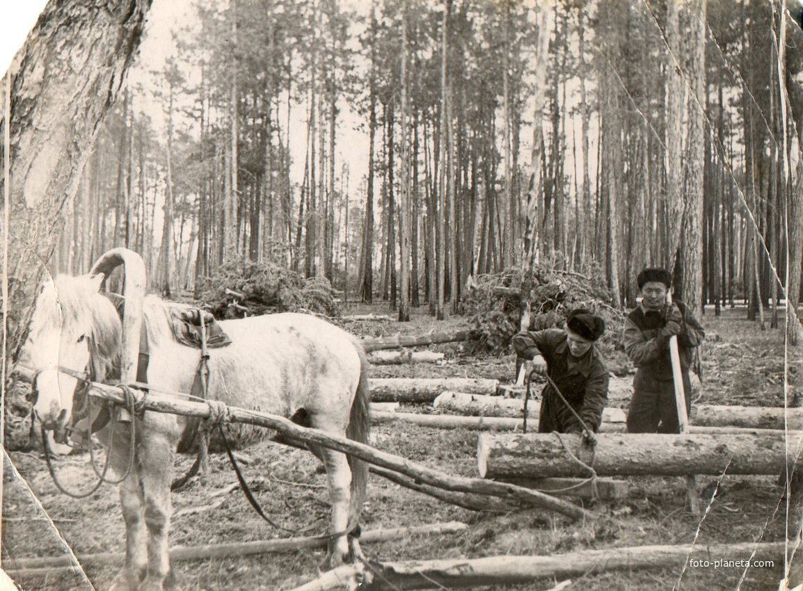 ТУРУКТА 1965