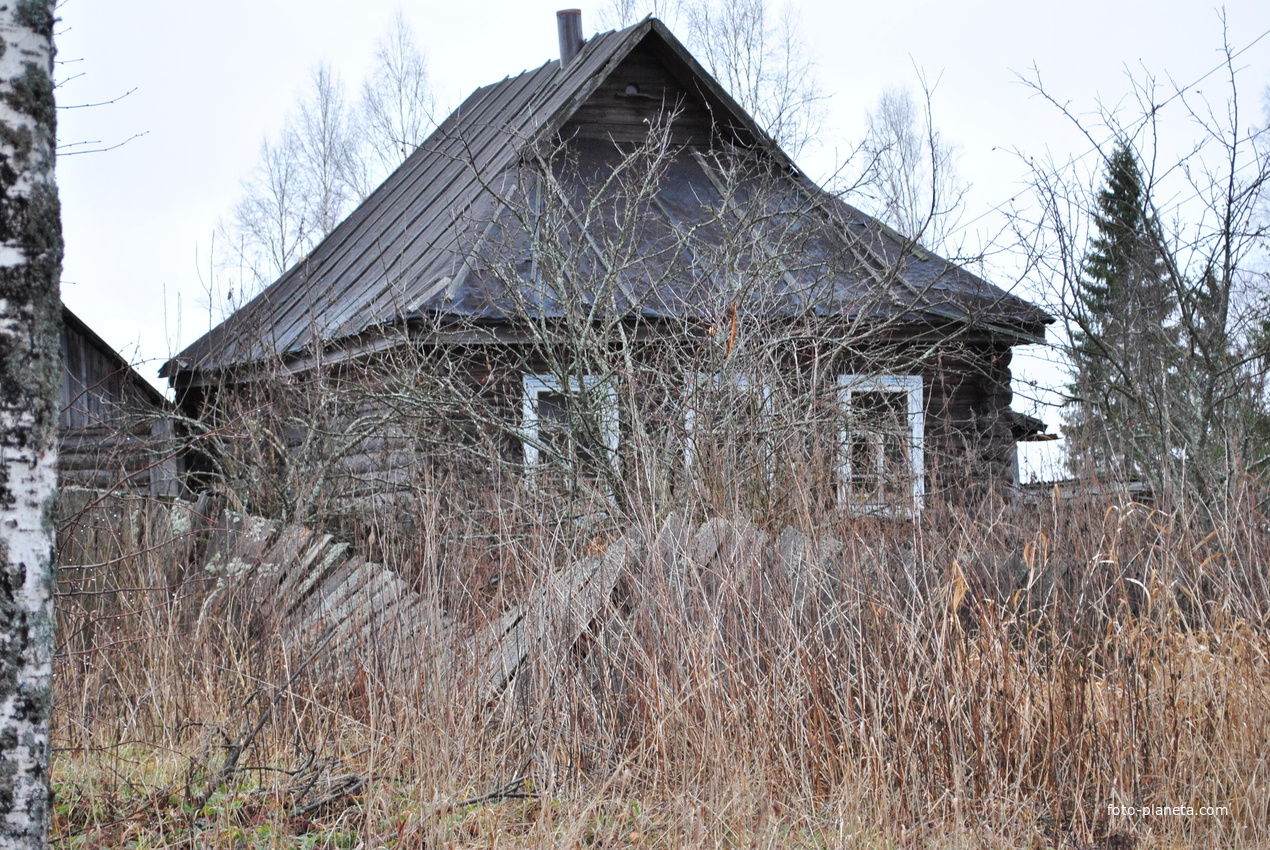 Дом Косяковой(Хлябиной) Анастасии. ноябрь2011г.