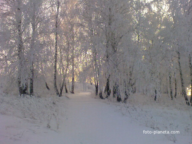 Саргамыш,зима 2012