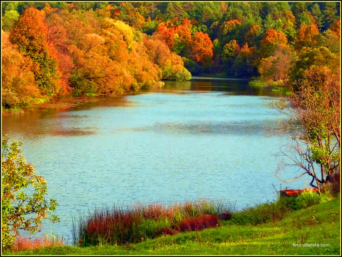 Полотняный.Осень.Суходрев.