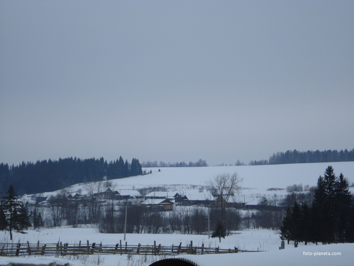 вид деревни зимой