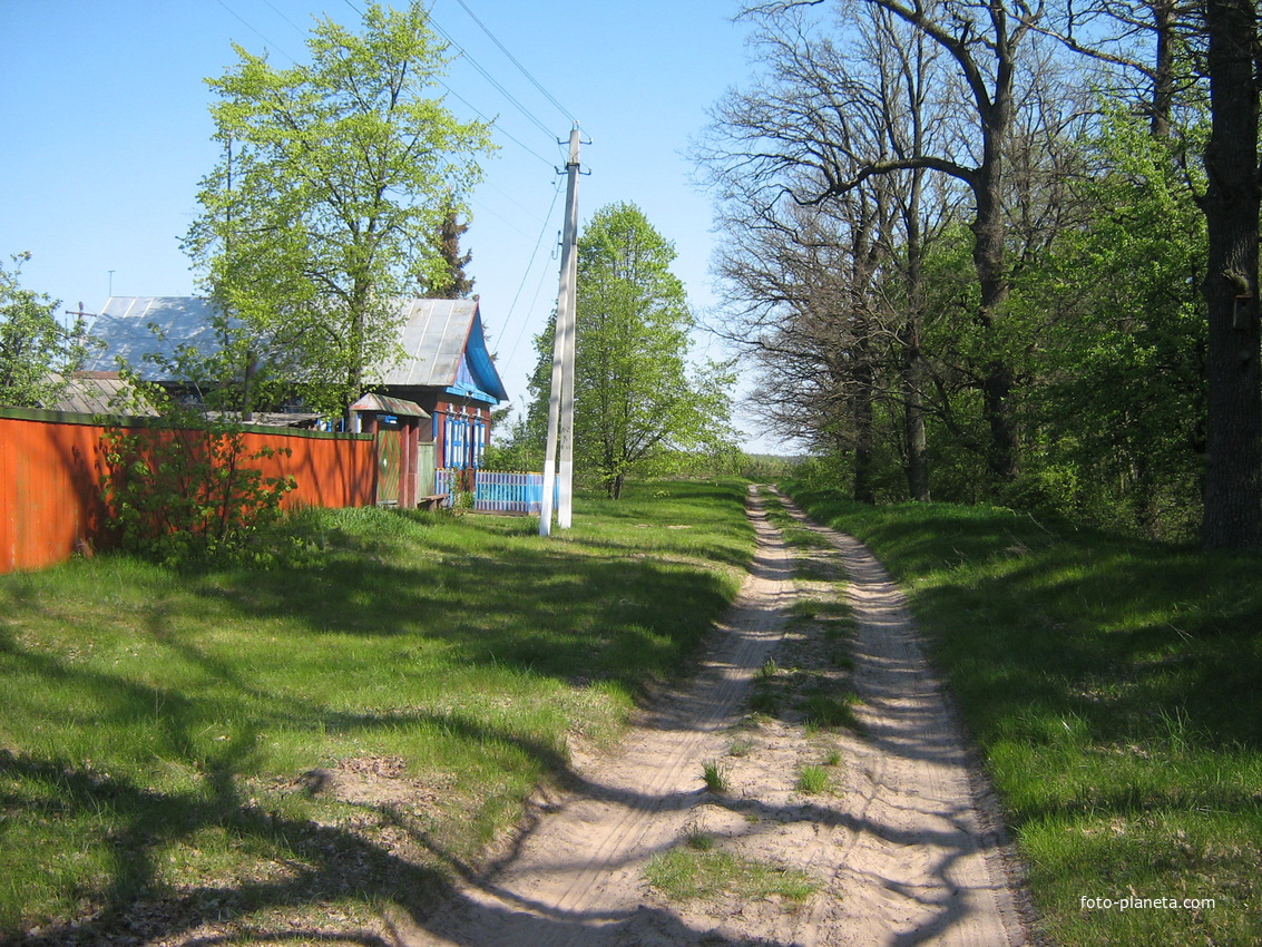 Абакумы, ул. Партизанская