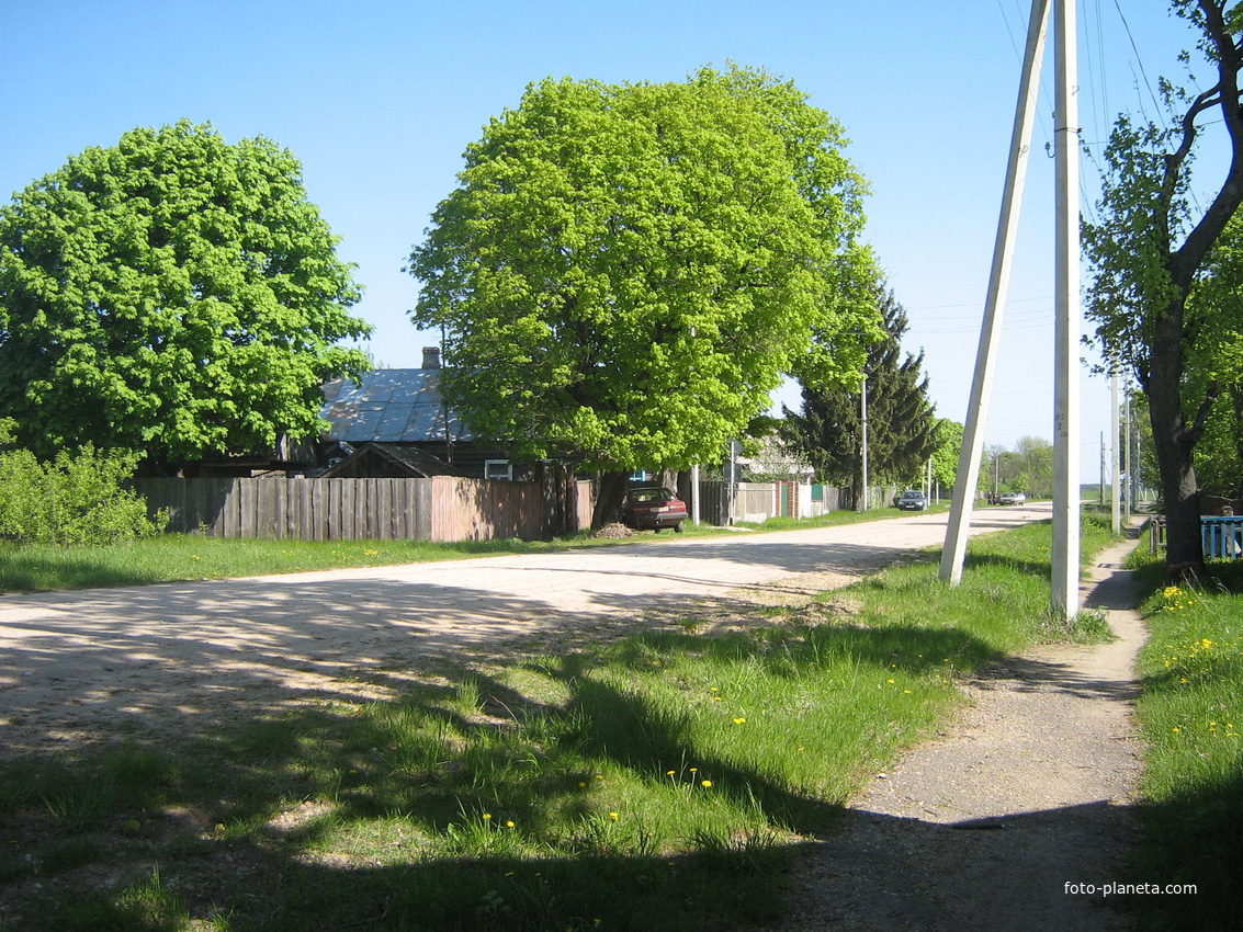 Абакумы, ул. Ленина