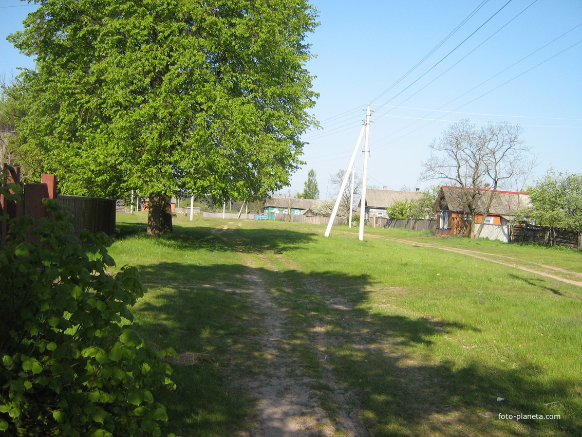 Абакумы, ул. Партизанская