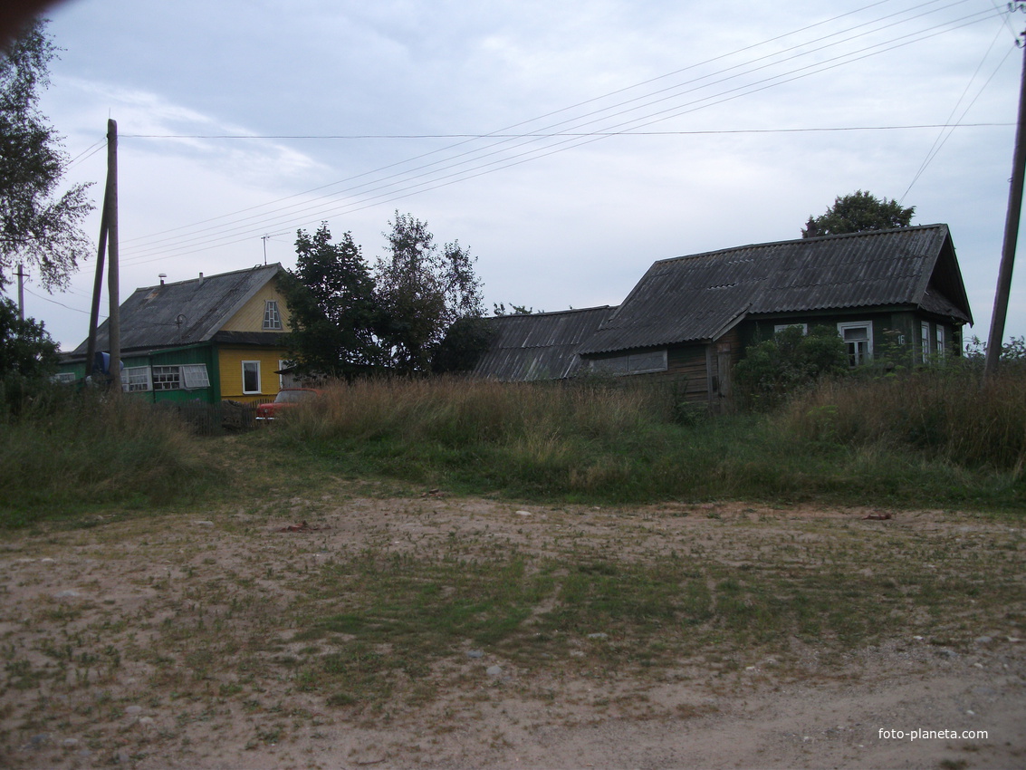 Дома деревни Зиновково