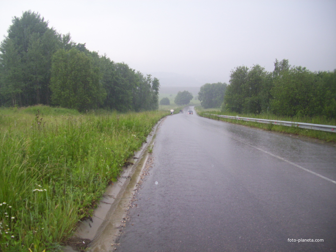 Дорога в деревню Мишнево.