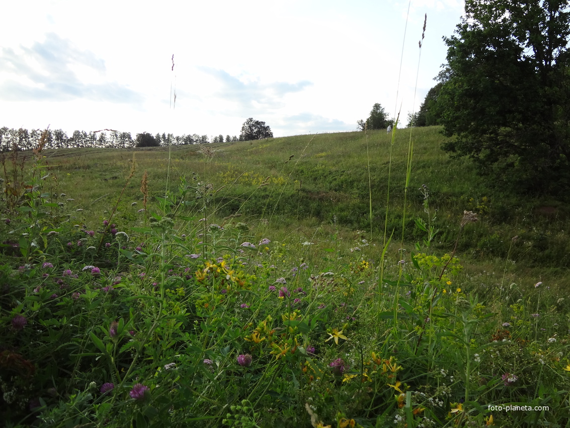 Лето в Новокильметово