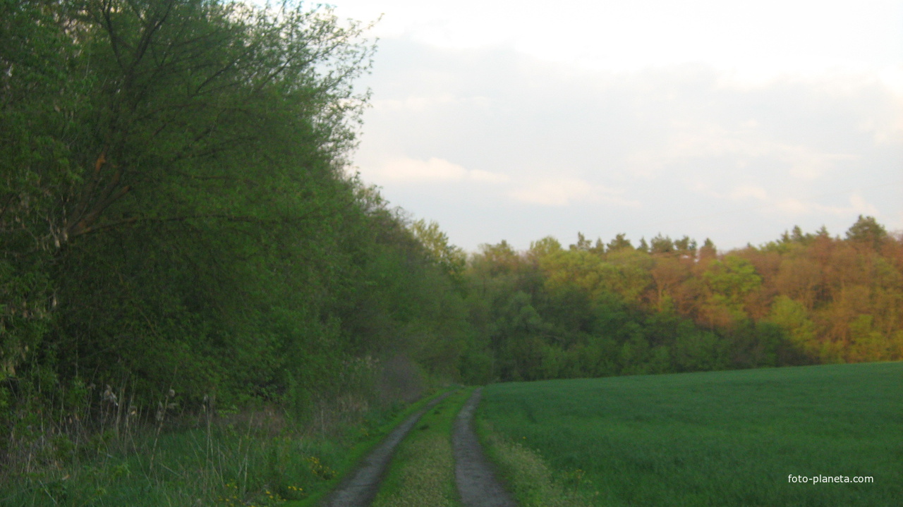 с.Почуйки ,природа.