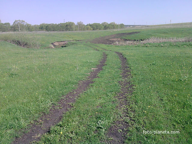 Владыкино. Дорога &quot;Приволье-Владыкино&quot;
