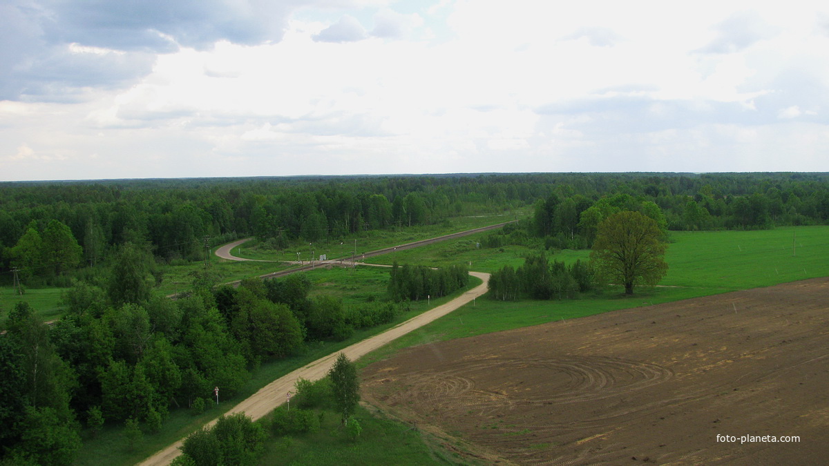 Дорога в деревню Замостье