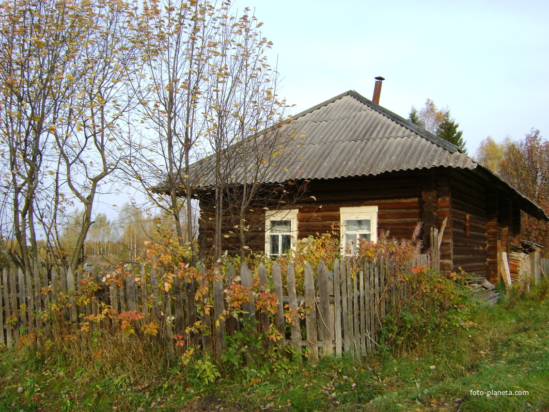 дом Васькиных