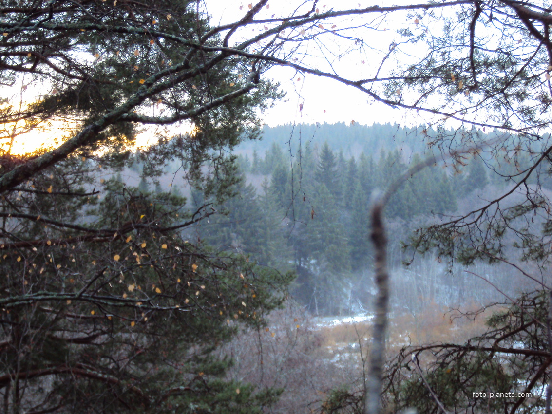 Пустошь близ Хаурова