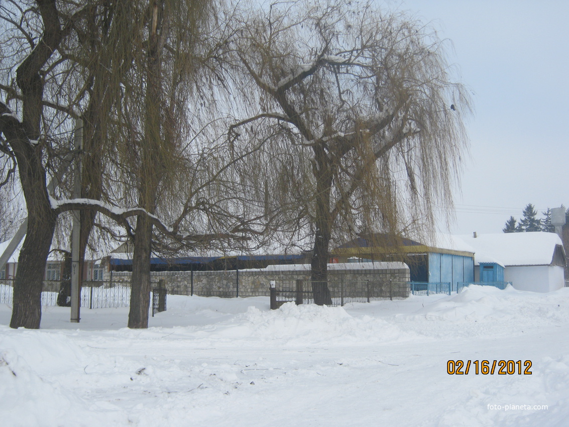 Молочный магазин