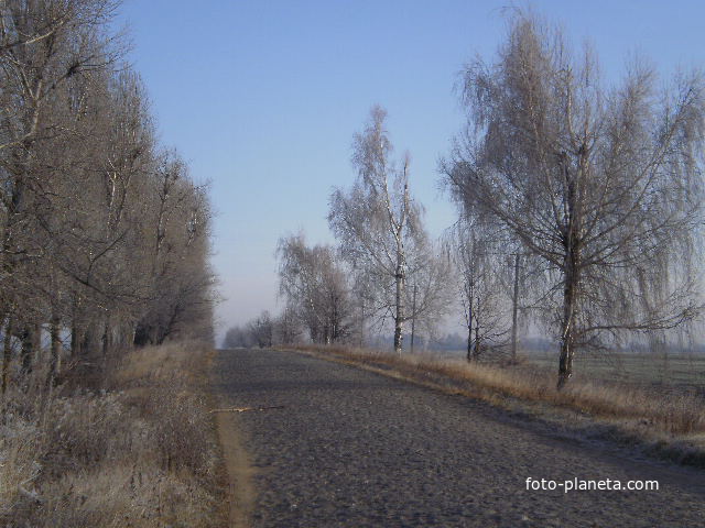 Дорога до с. Колюхов