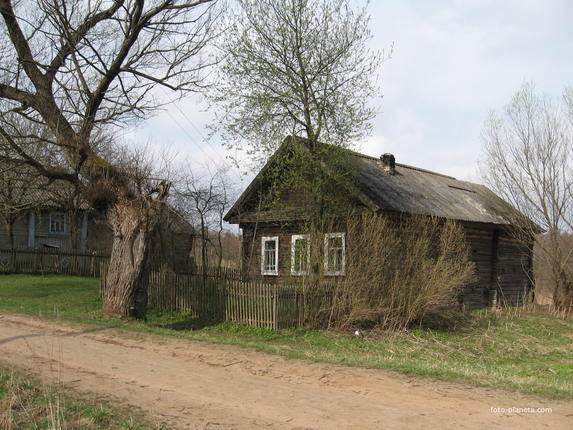 Березовка Бабущкин дом