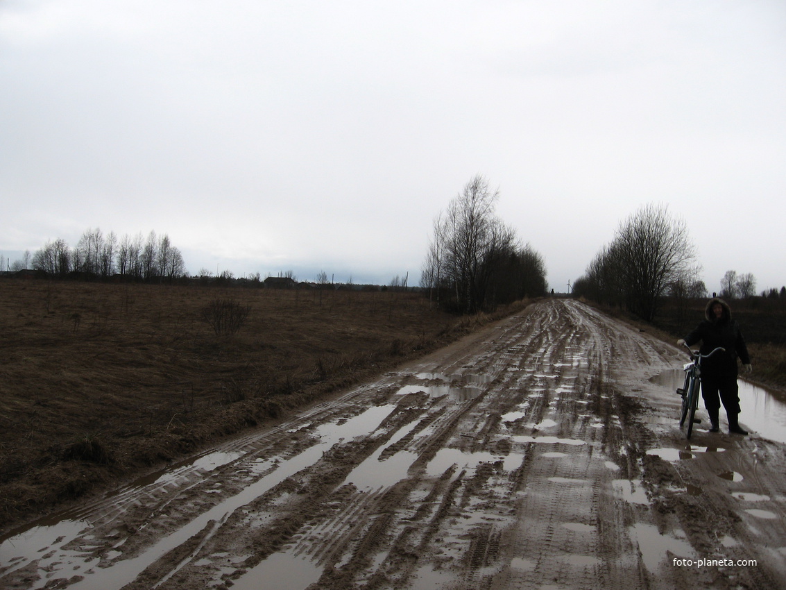 Весенняя дорога в Березовку